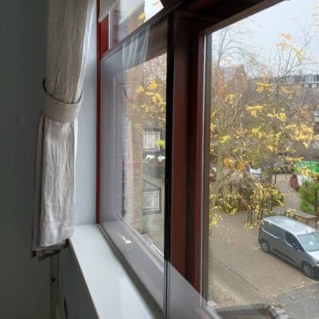 windows-5