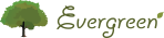 Поддержка и разработка сайта - Evergreen
