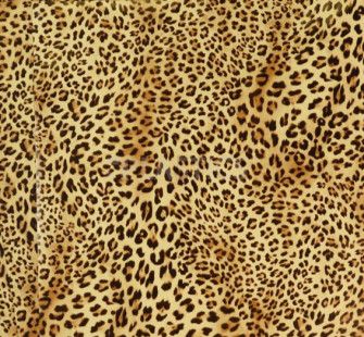 Poli-Flex Image 4281 леопард, 50см x 25м - фото MAIN
